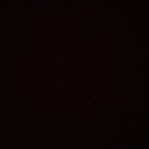 Meet your Posher, Trevor